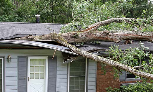 Storm damage caused by falling tree
